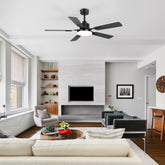 48/52-inch LED Ceiling Fan with Light Remote and 5 Dual-sided Plywood Blades, 5” and 10”  Downrod Included